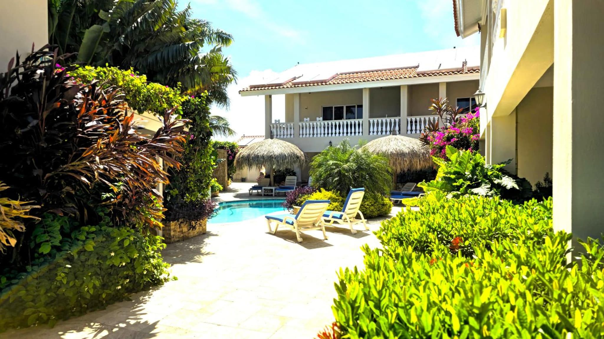 Charming 1-bedroom apartment 2 km from Eagle beach photo 3