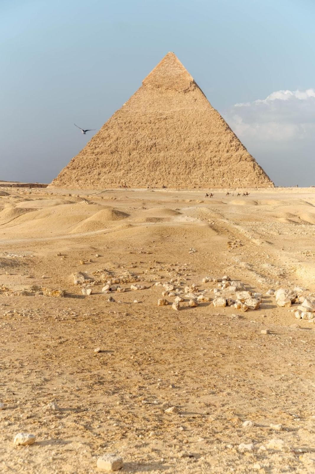 Pyramids International INN photo 5