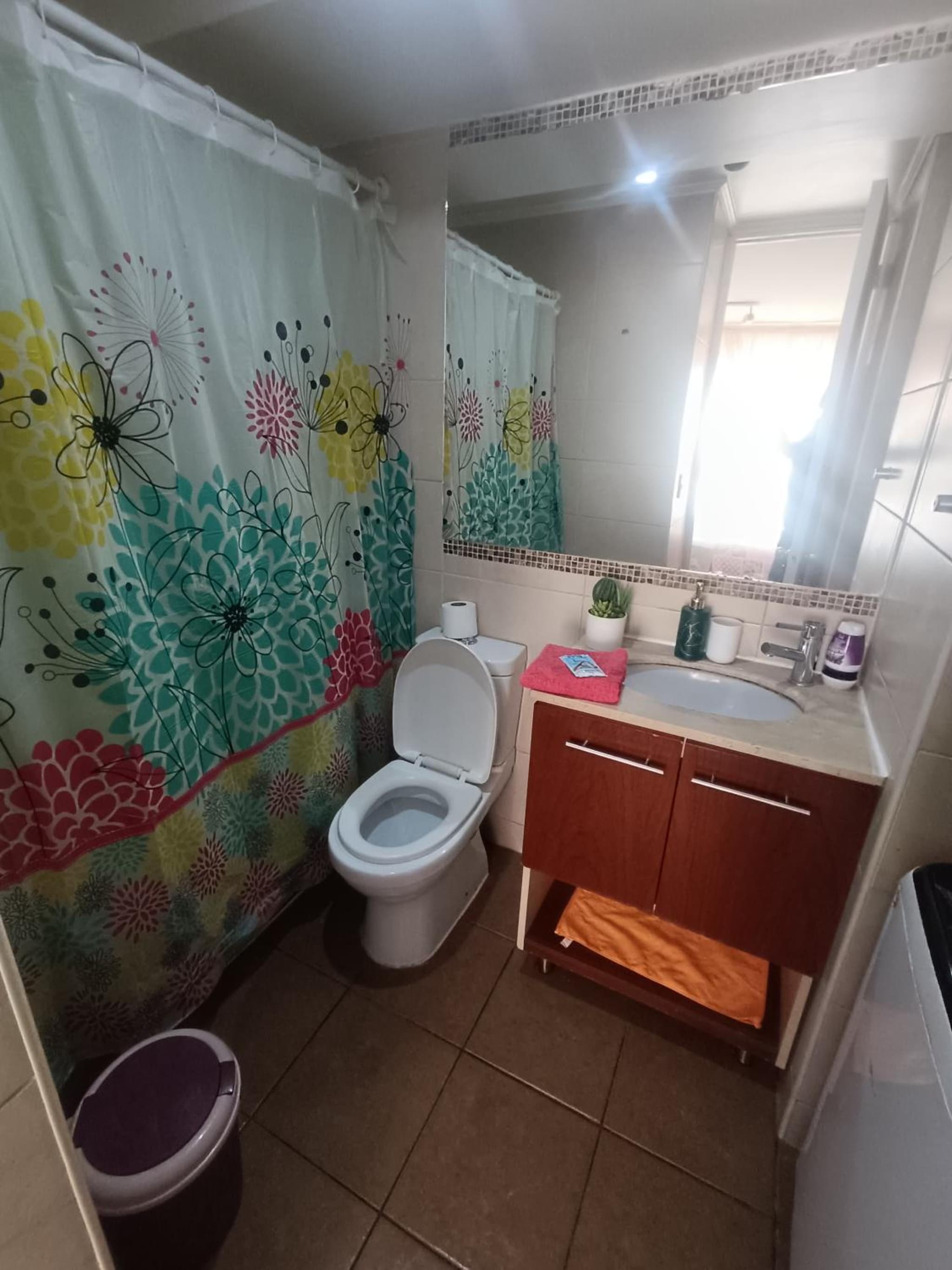 Andina suite 4 photo 6