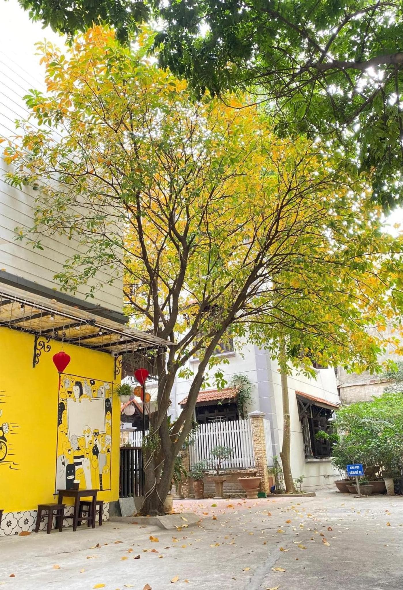 Ngáo Homestay Hanoi photo 9