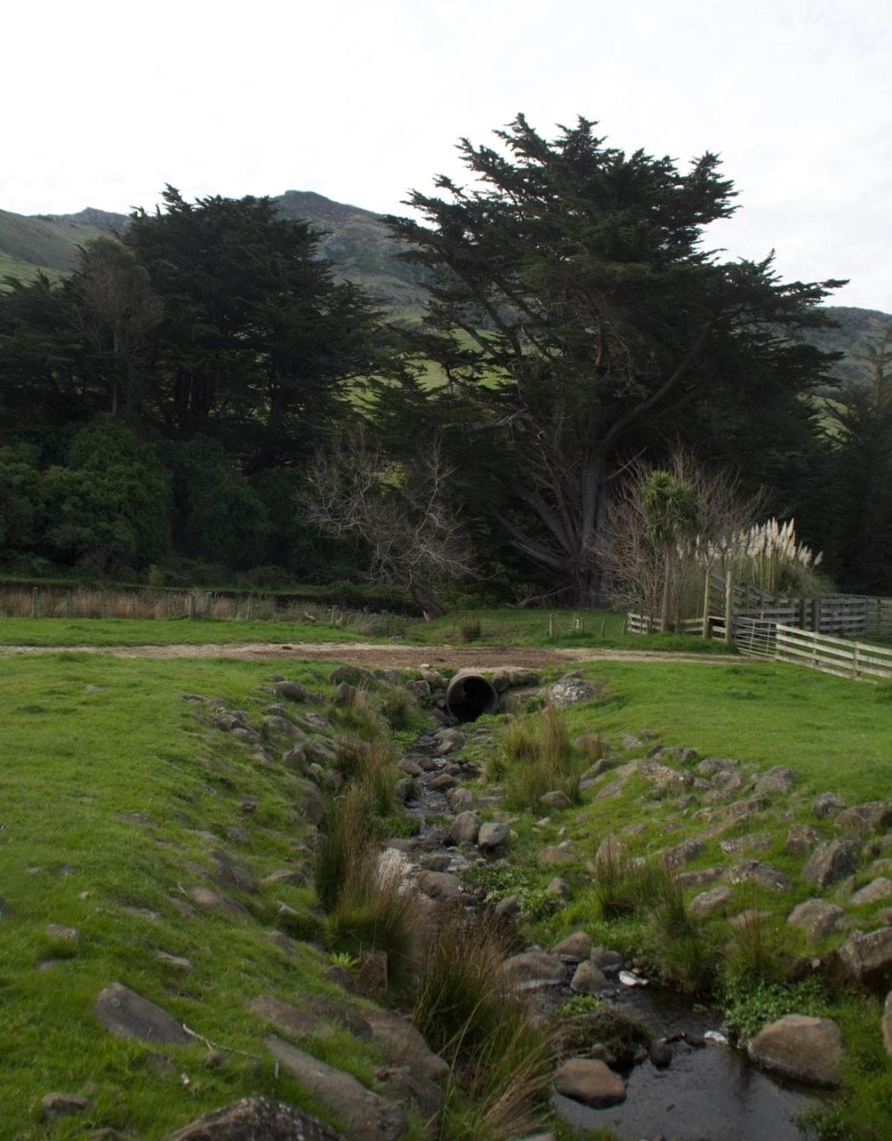 Okains Bay West Peak Cottage photo 7