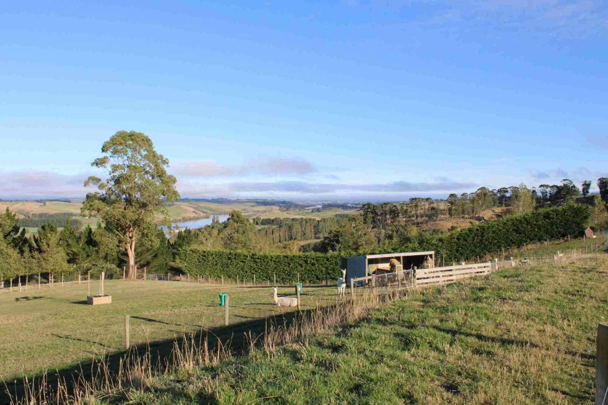 Bruce Farm Alpaca Cabin 1 by Tiny Away photo 9