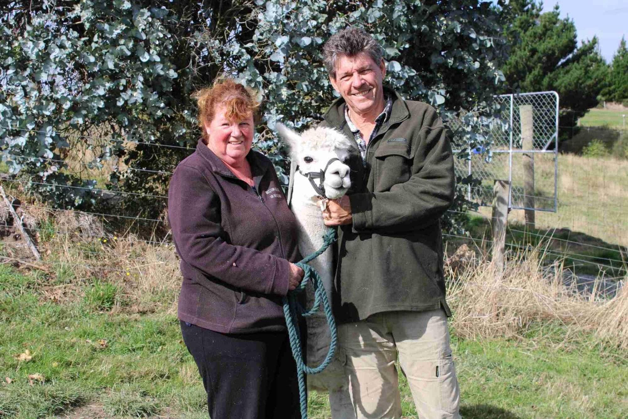 Bruce Farm Alpaca Cabin 1 by Tiny Away photo 4