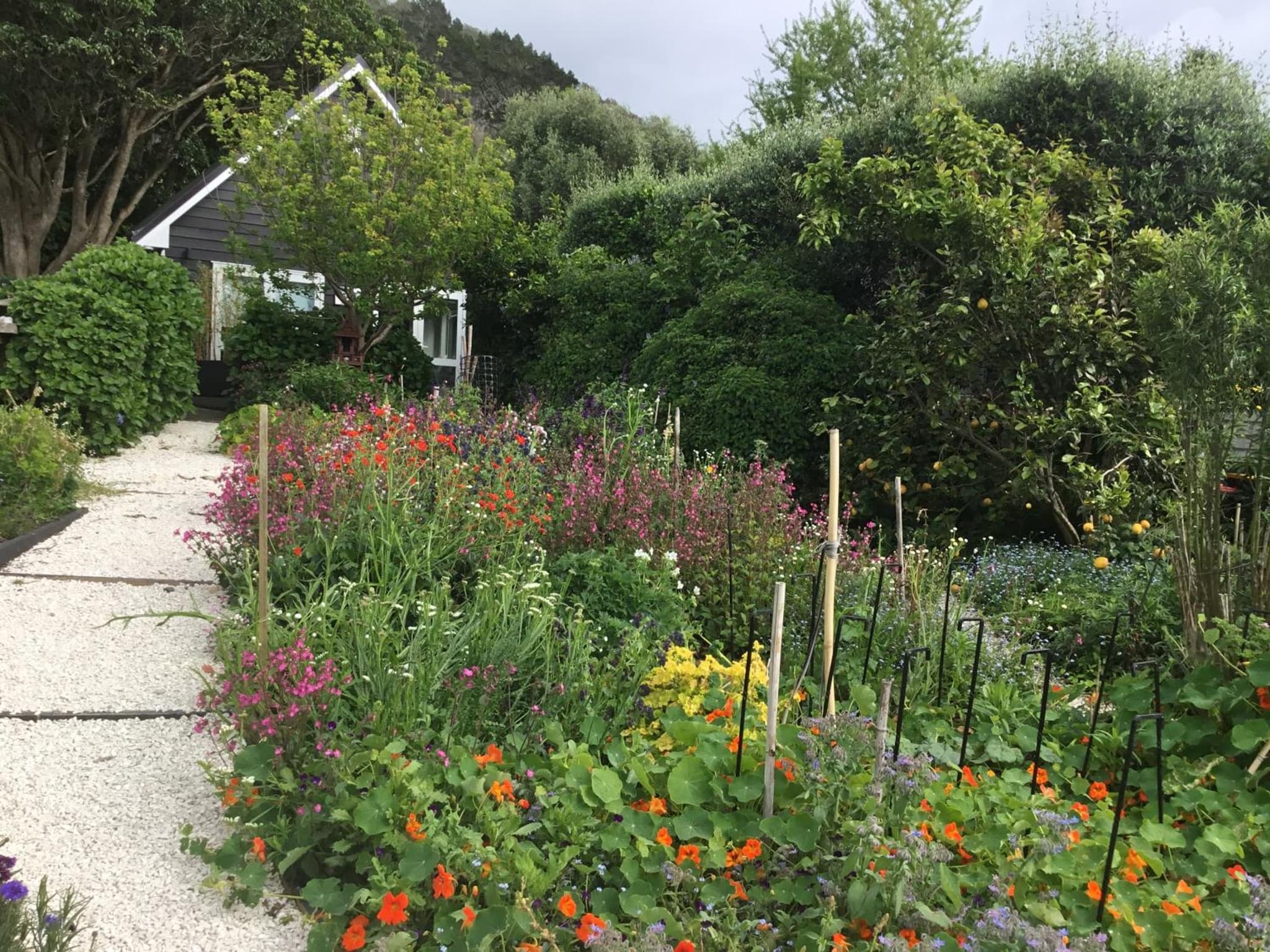 Hahei Kereru Cottage photo 5