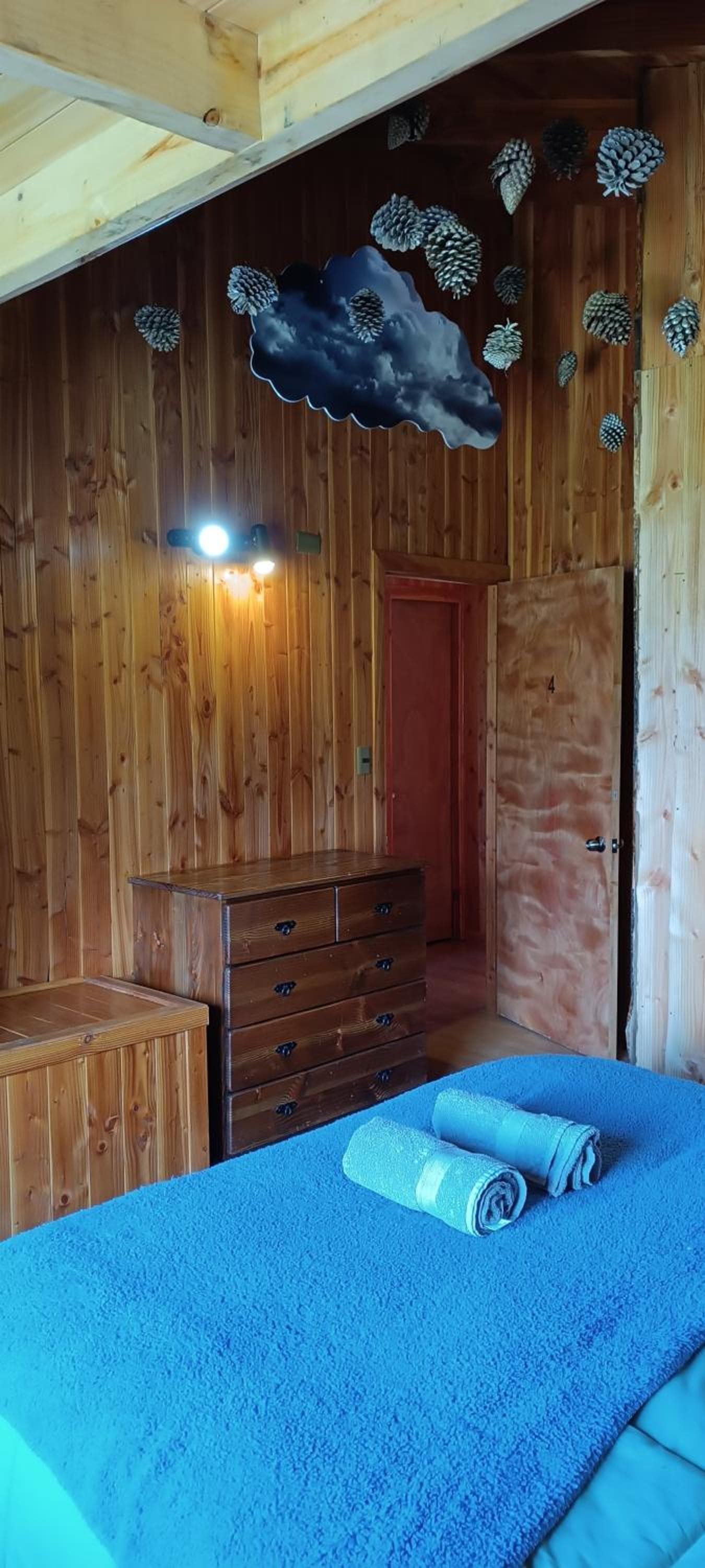 Hostel Calafquen Adventure Coñaripe photo 8