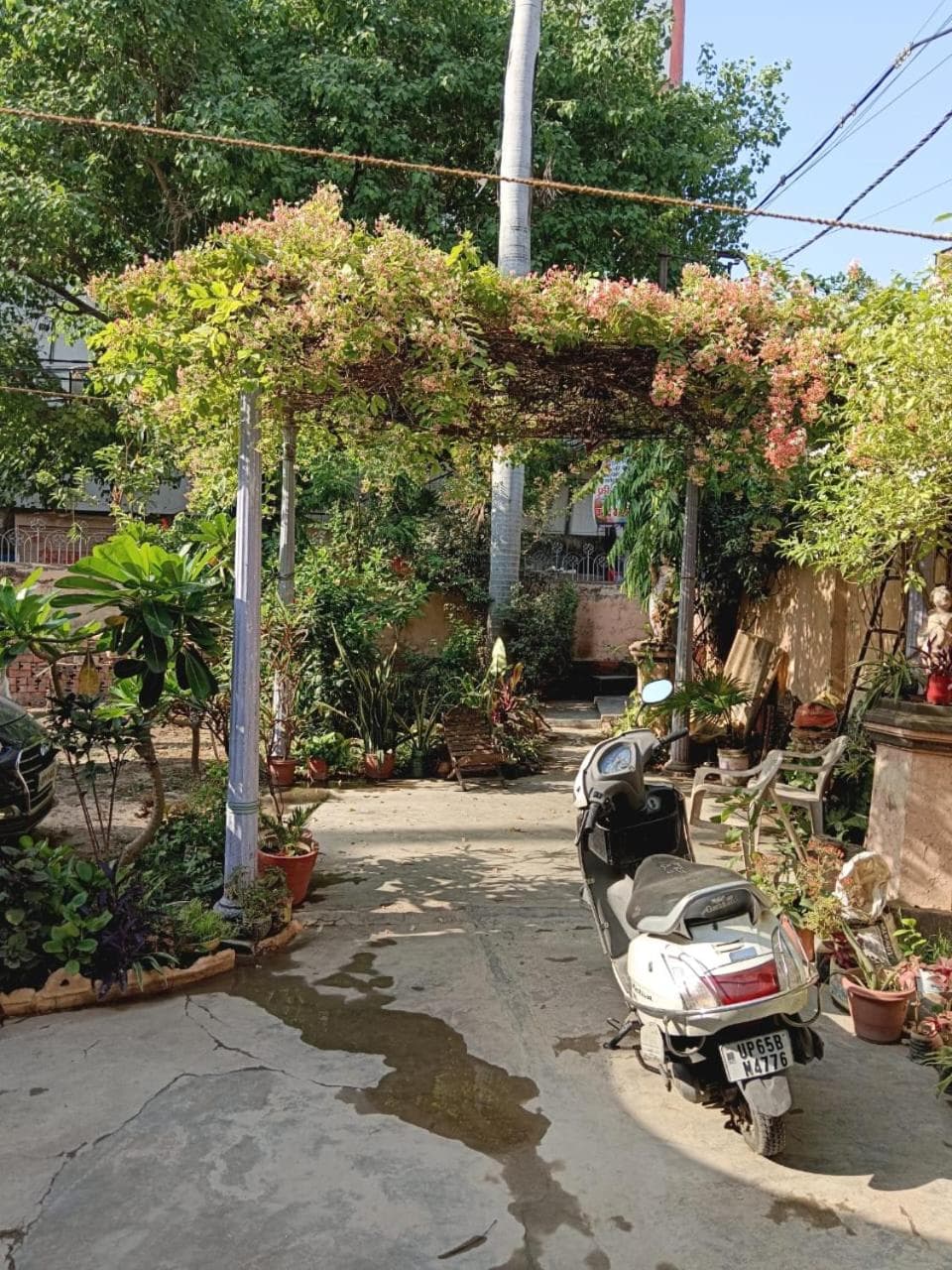 Vrinda Garden photo 9