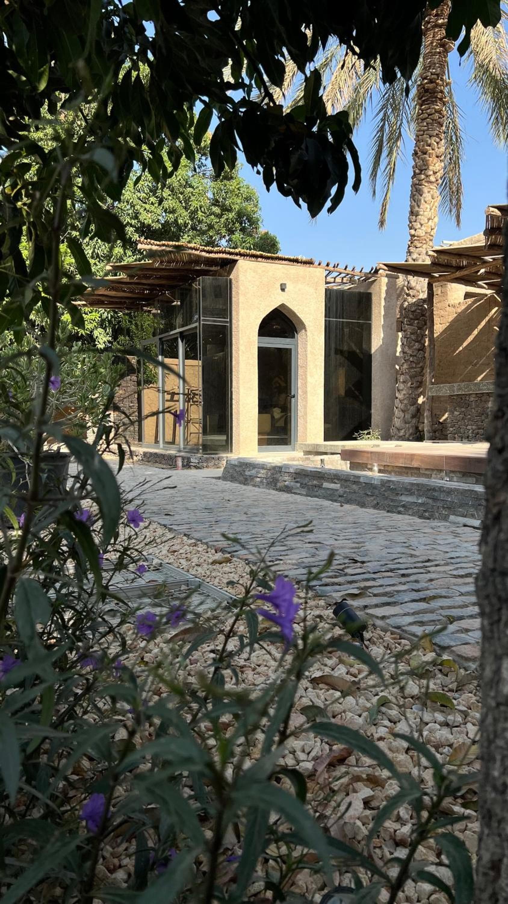 Muskad photo 6