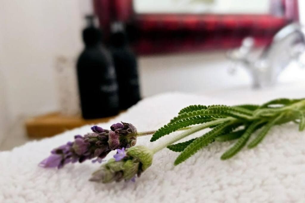 Grey Rabbit Cottage photo 8