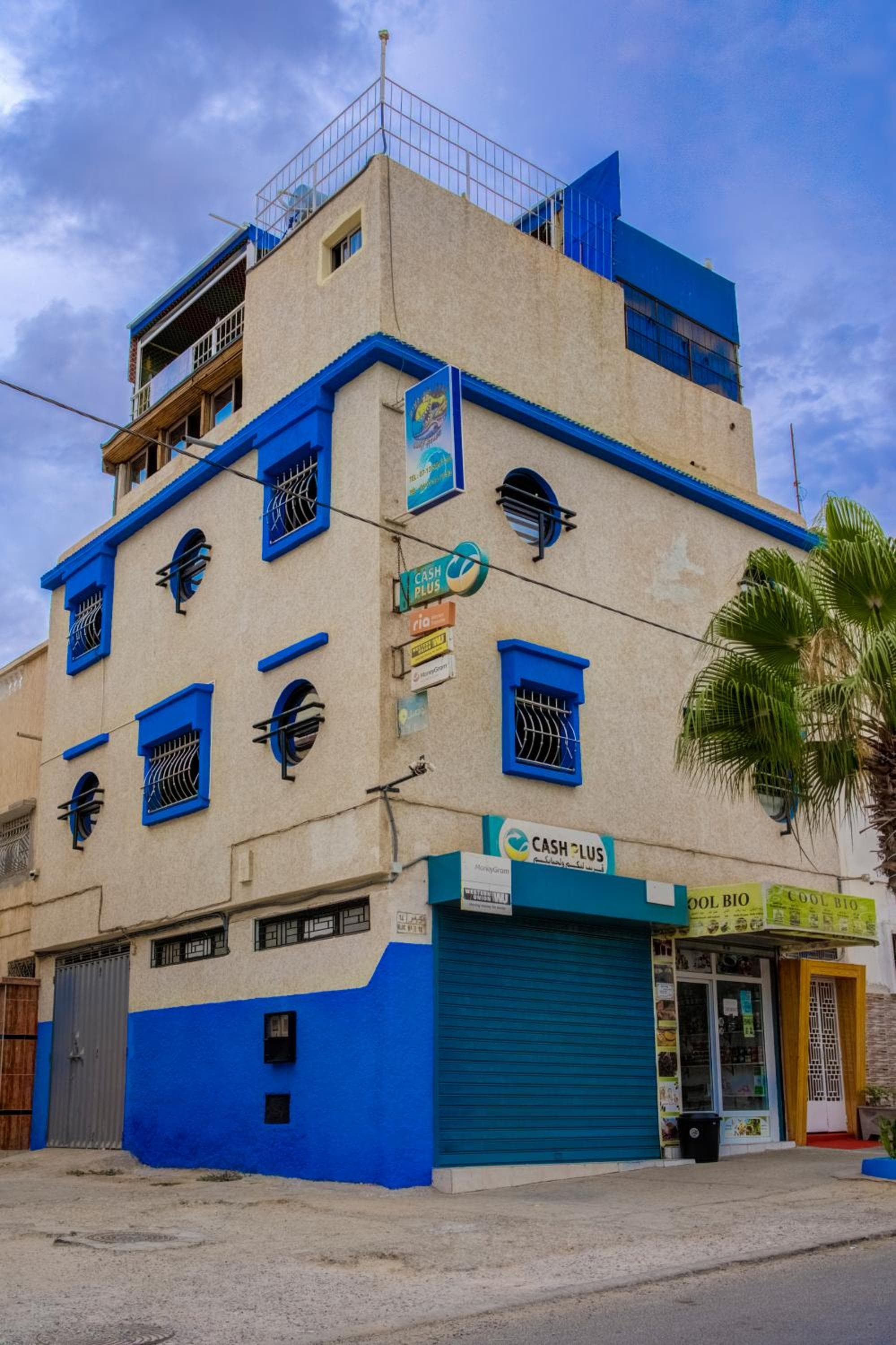Dinosaur Anza Surf House