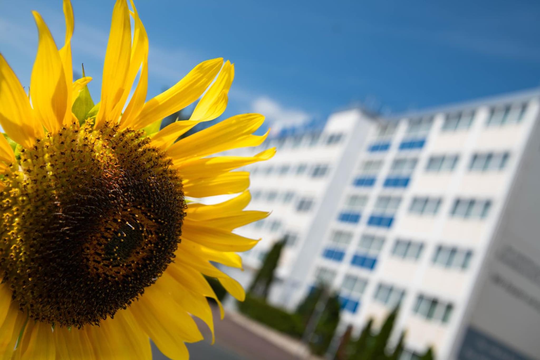BeeVillage Messehotel Hannover Laatzen
