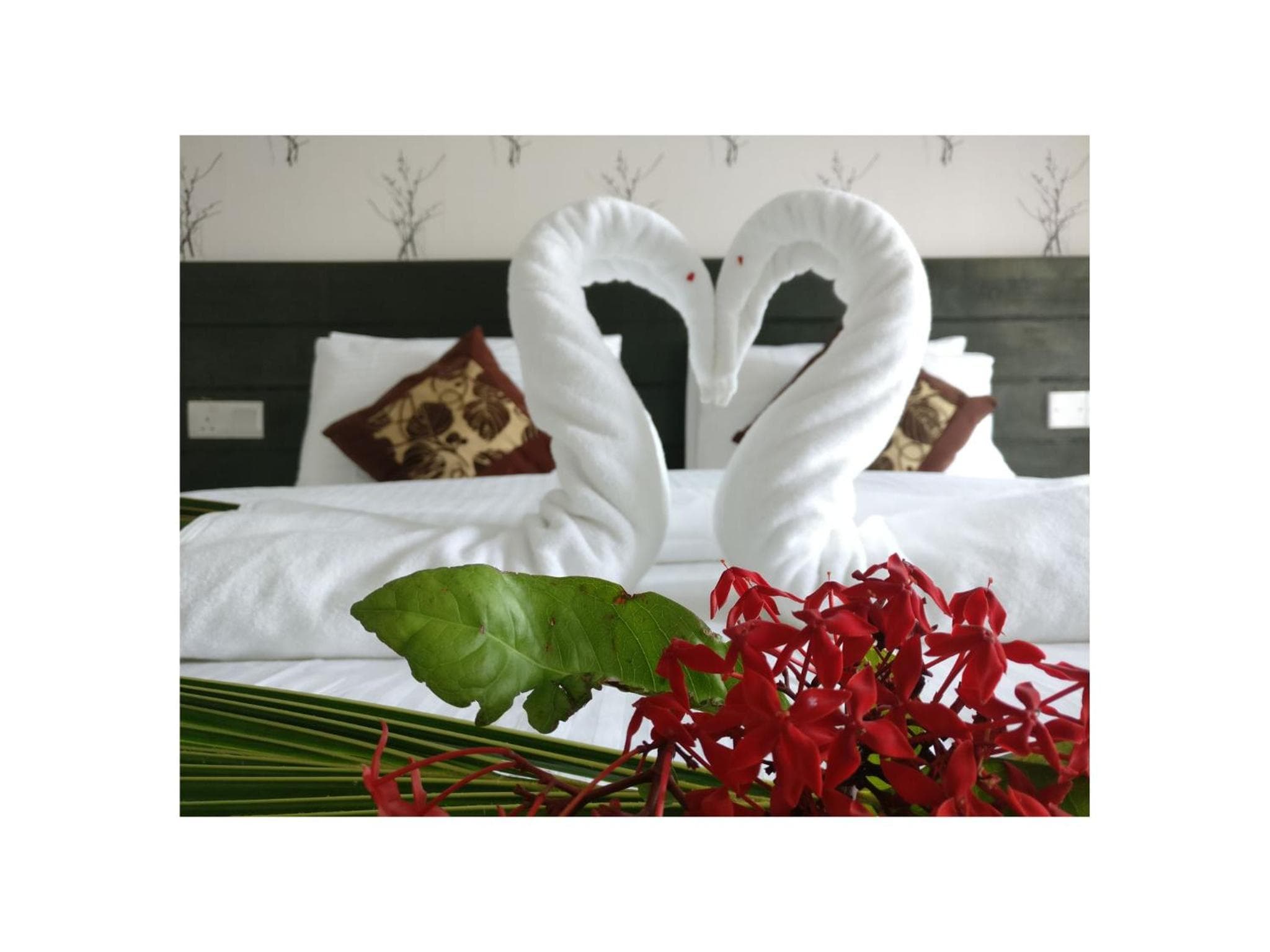 Crown Beach Family villas