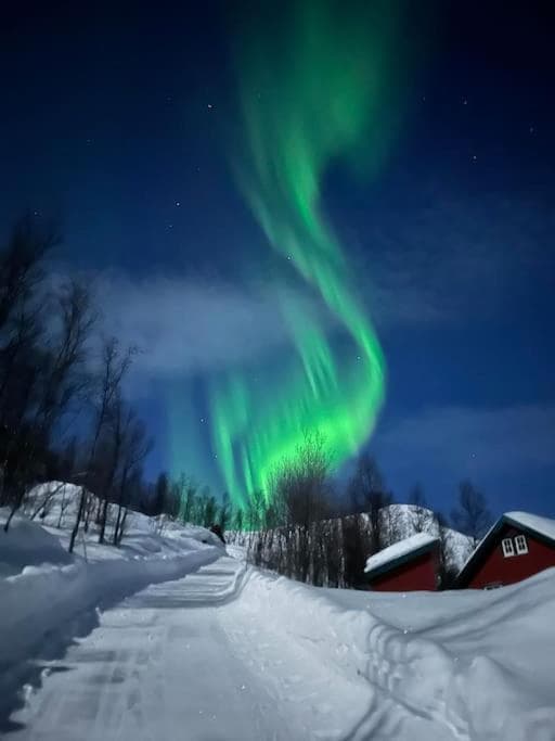 Sjursnes Mountain Lodge photo 5