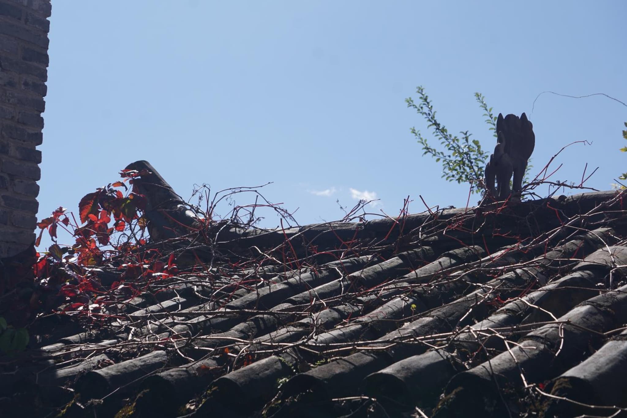Jayden NAXI Healing Lodge臣安纳西疗愈小院 - Namaste photo 9