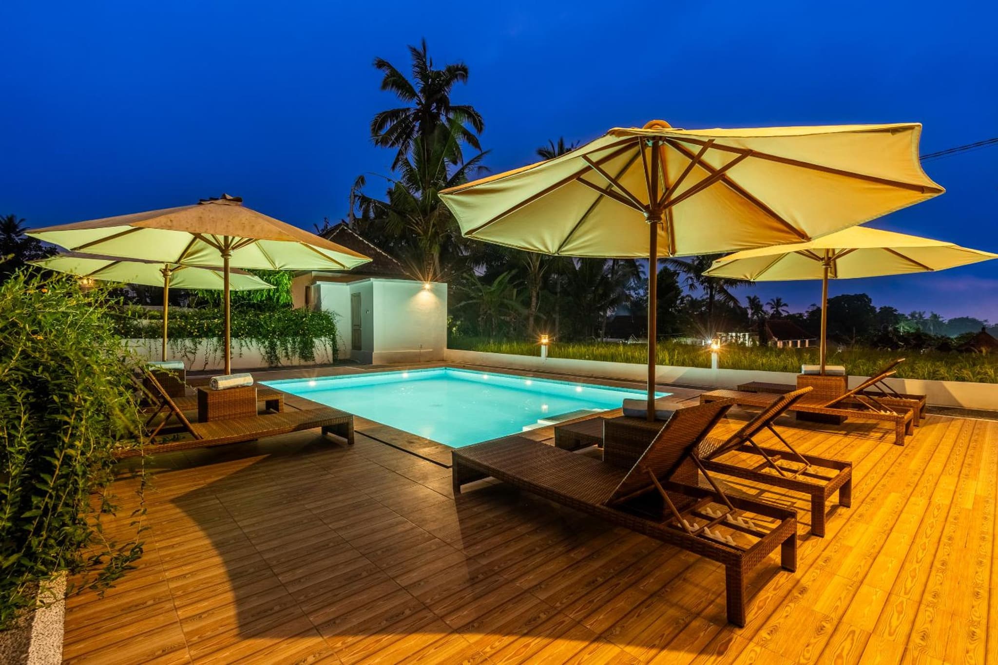 Aura Apartments Ubud photo 3