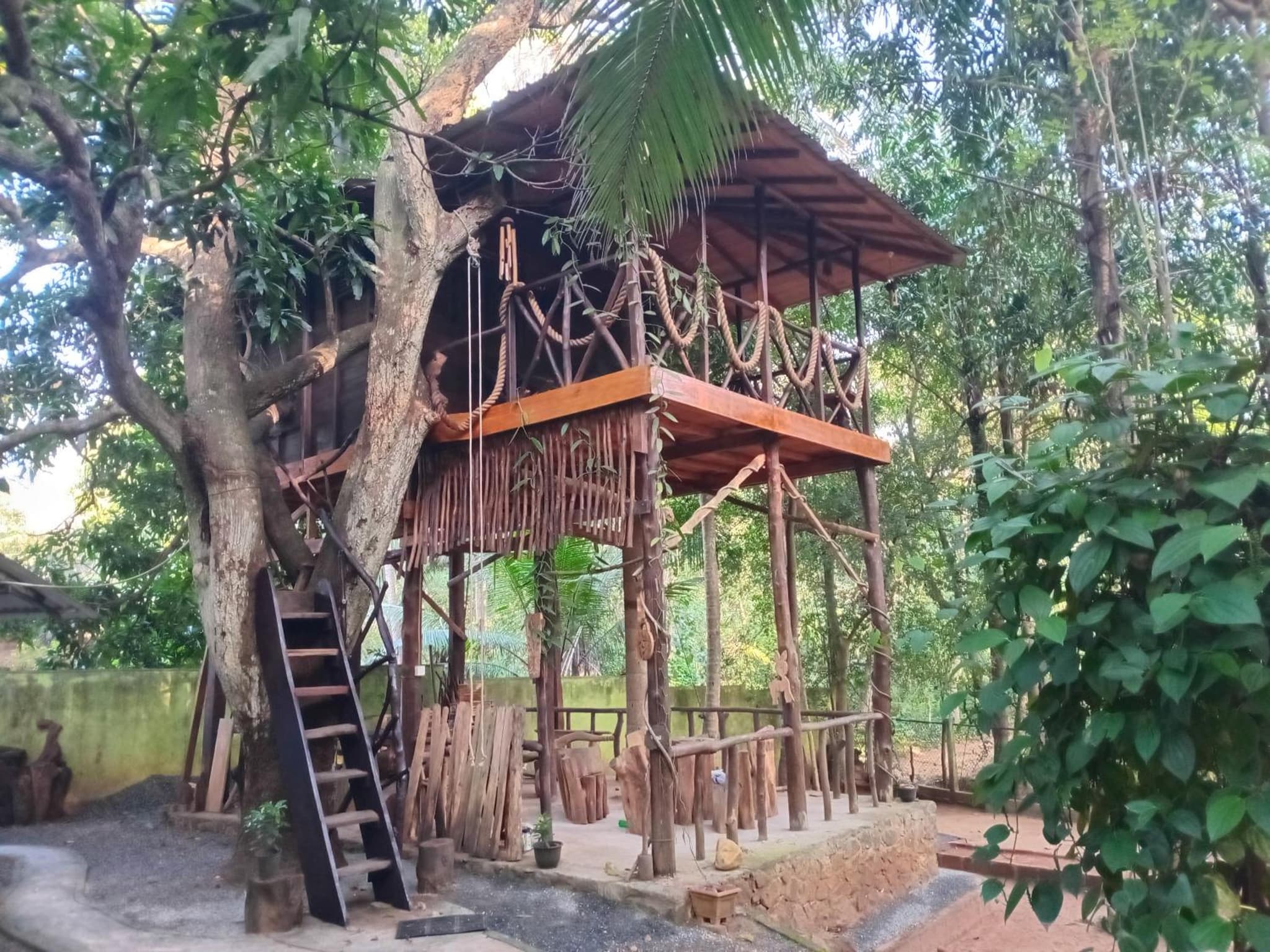 Green Park and Eco Tree House