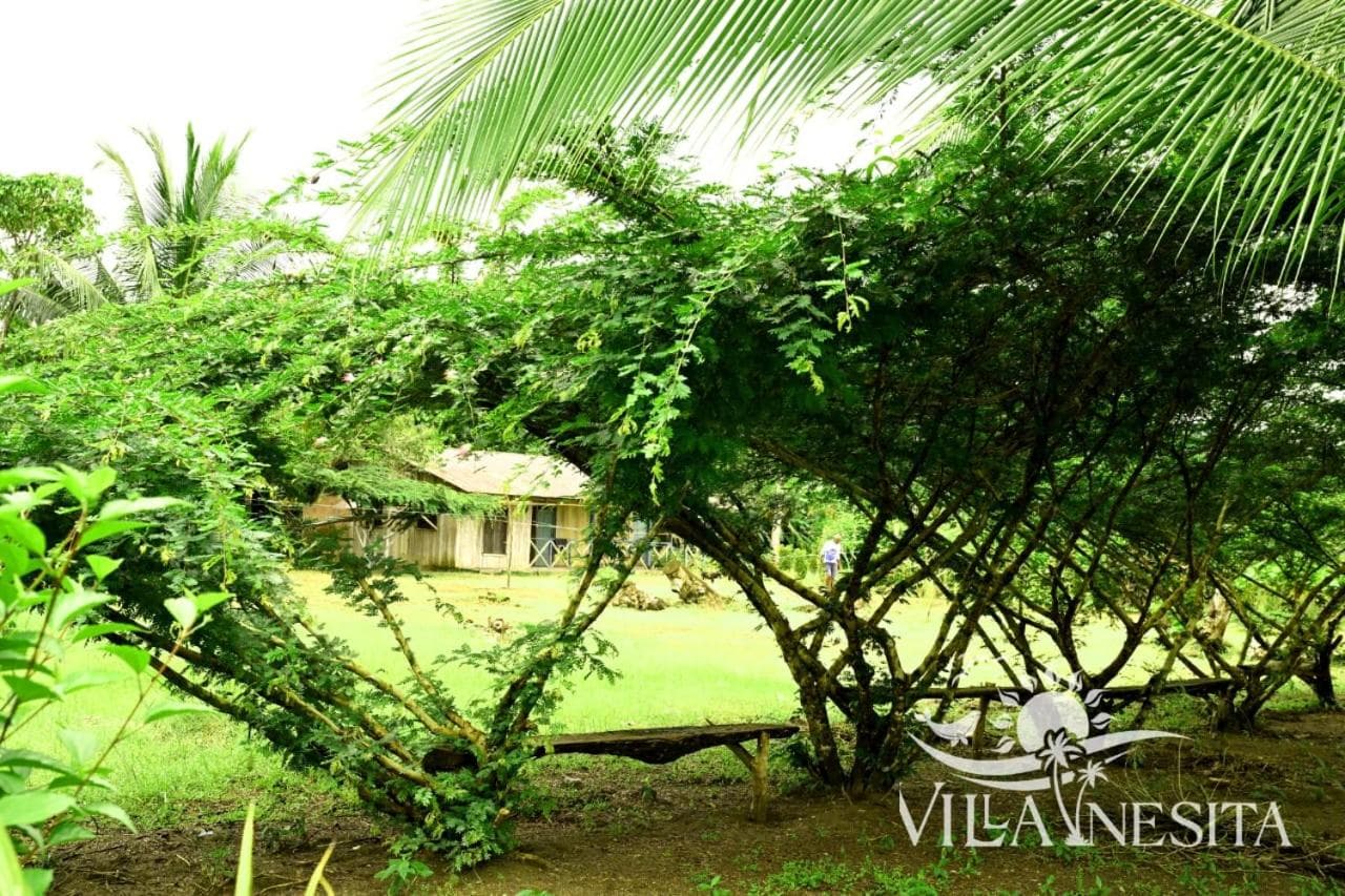 Villa Inesita photo 5
