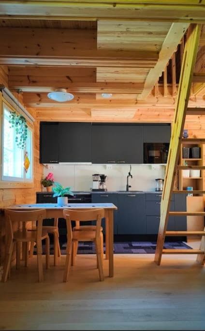 Arctic log house Hirvas photo 8