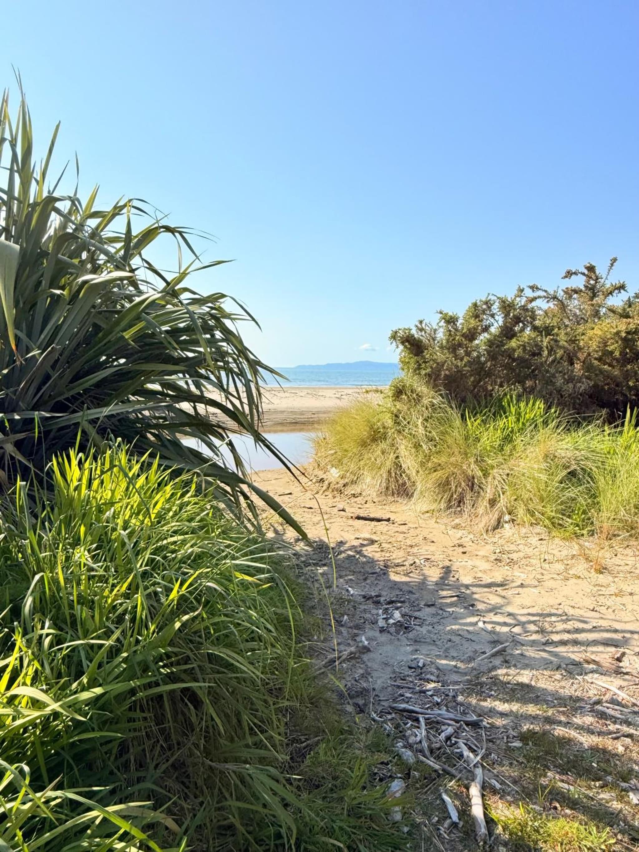 Pā Tōrea Beach Stay photo 3