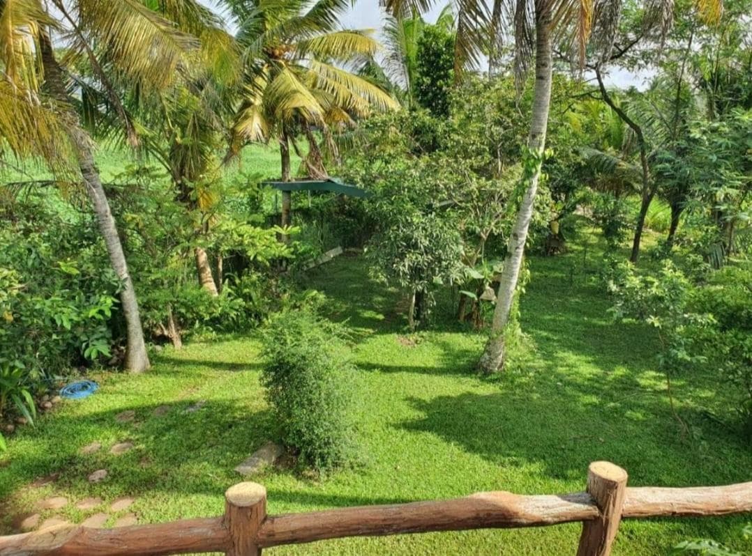 GreenHeart Villa- Top Floor, Specious 3BR-2BR AC - Hot W, Greenary & Fresh Air -Travel Awards 2025 photo 7