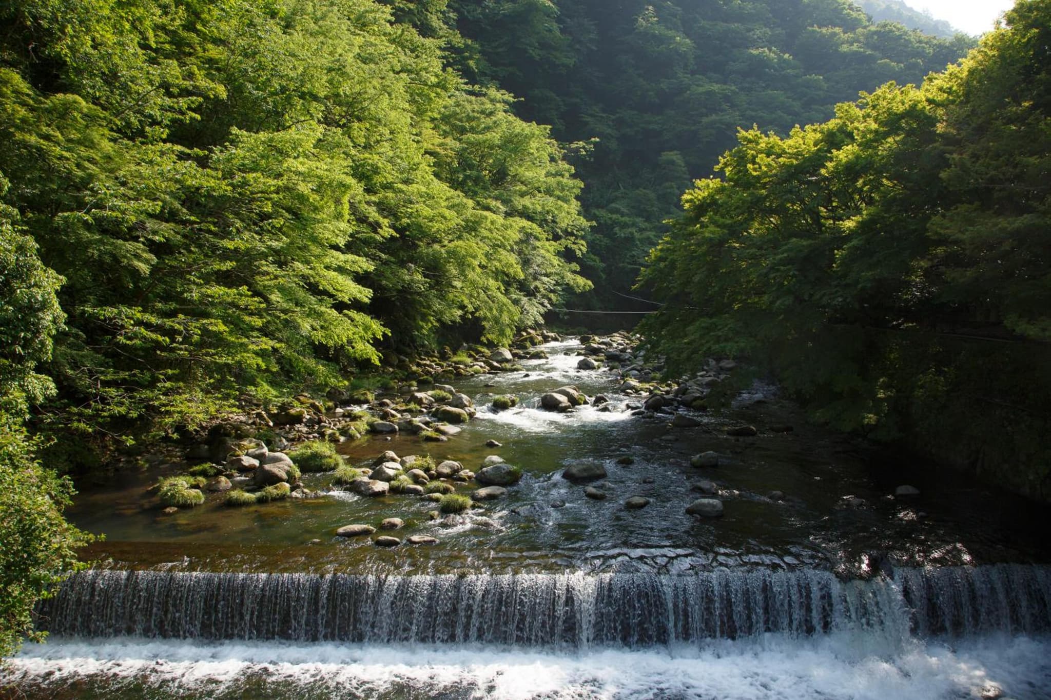 Fukuzumiro photo 6