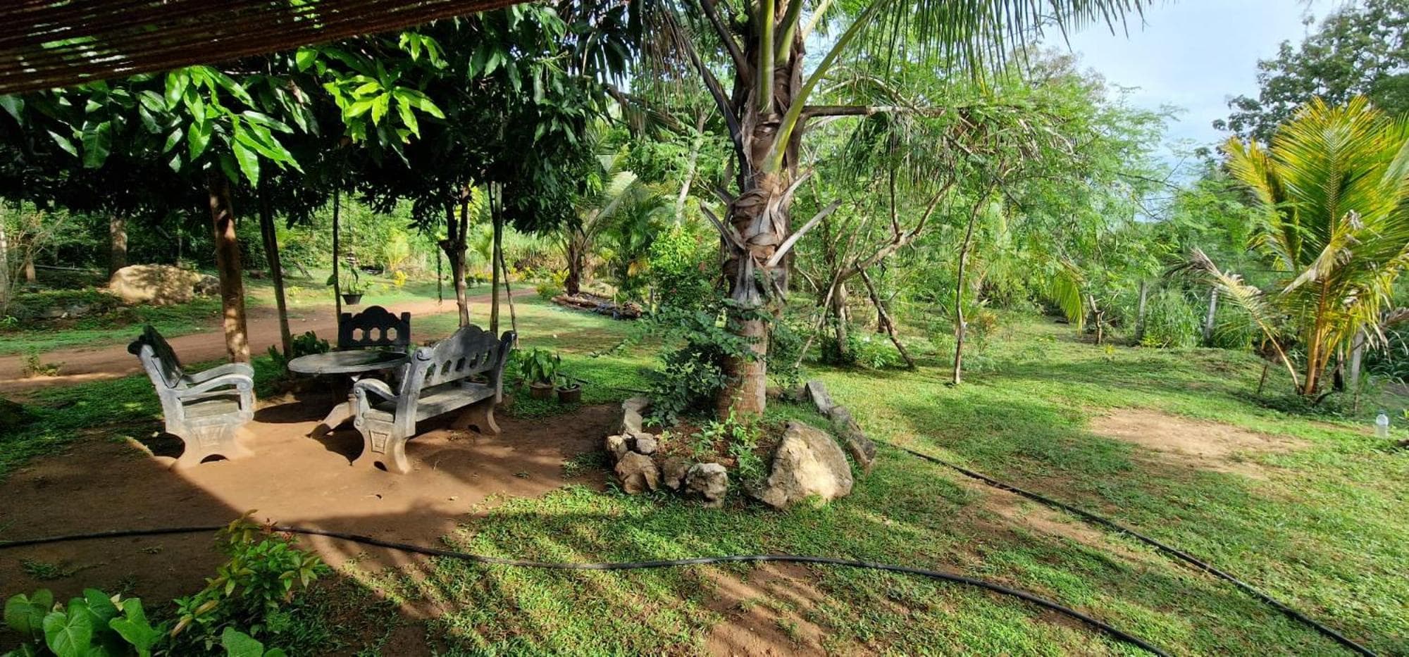 Jungle Eco Lodge & Safari photo 4