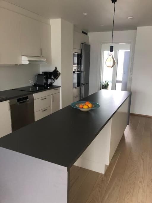 Toppleilighet min 2 dager leie photo 6