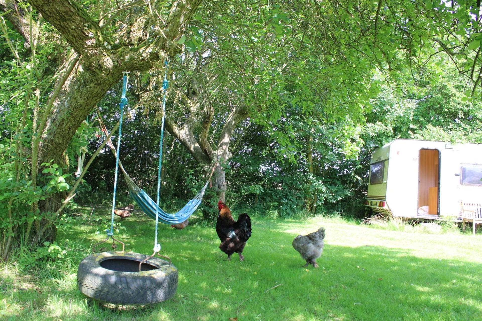Sejersminde Bed and Breakfast photo 7