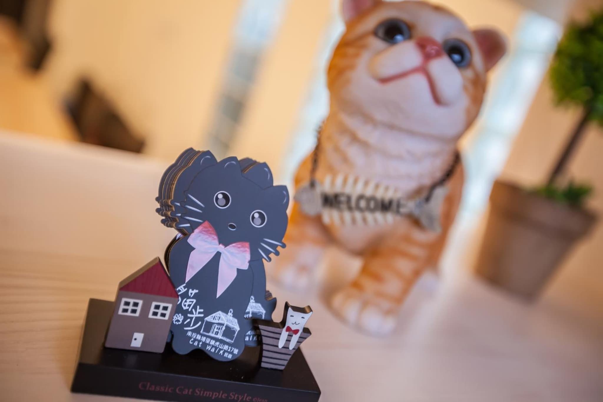 Cat Walk貓步民宿 photo 3