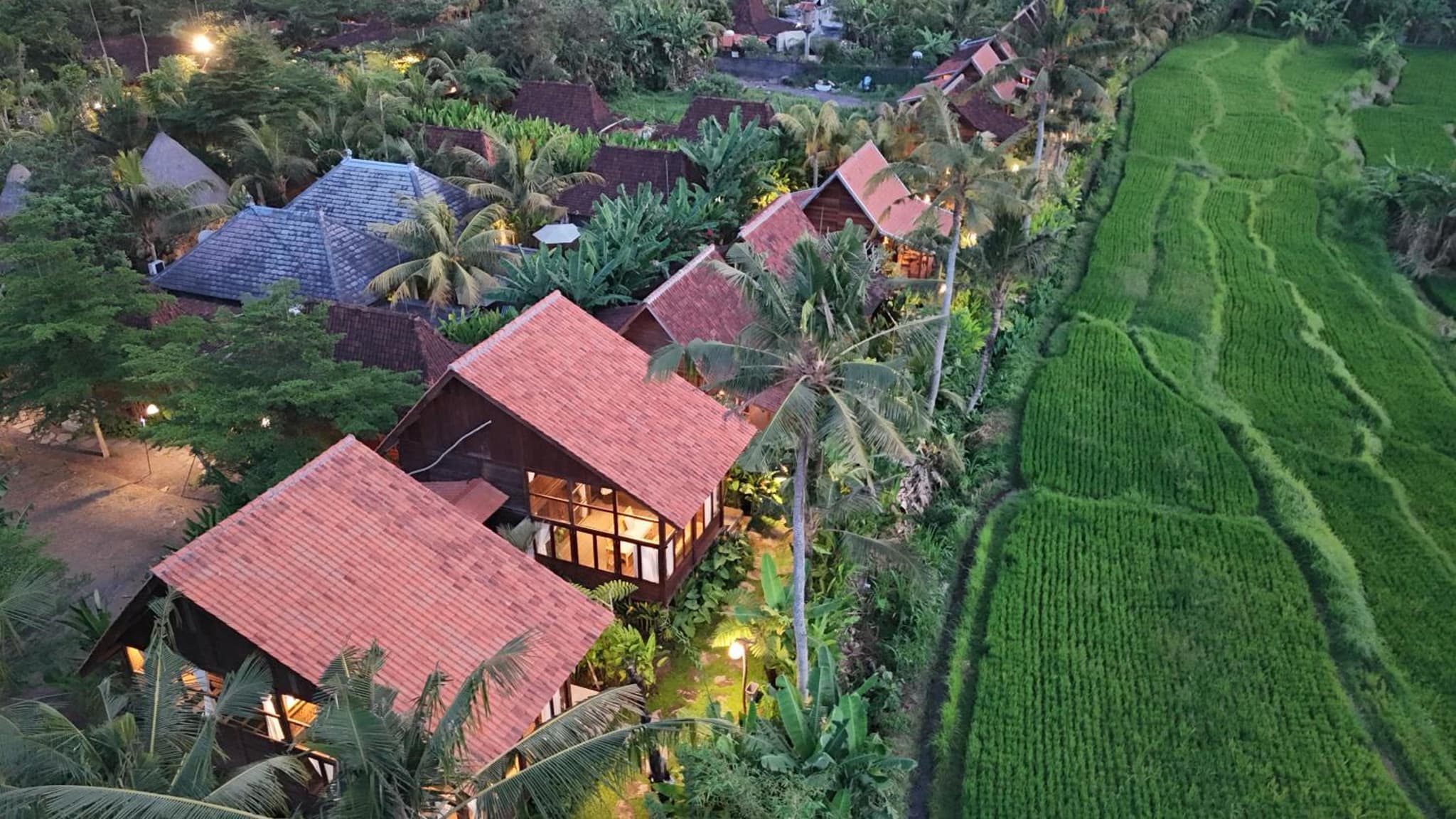Ubud Art Resort by Wedja photo 4