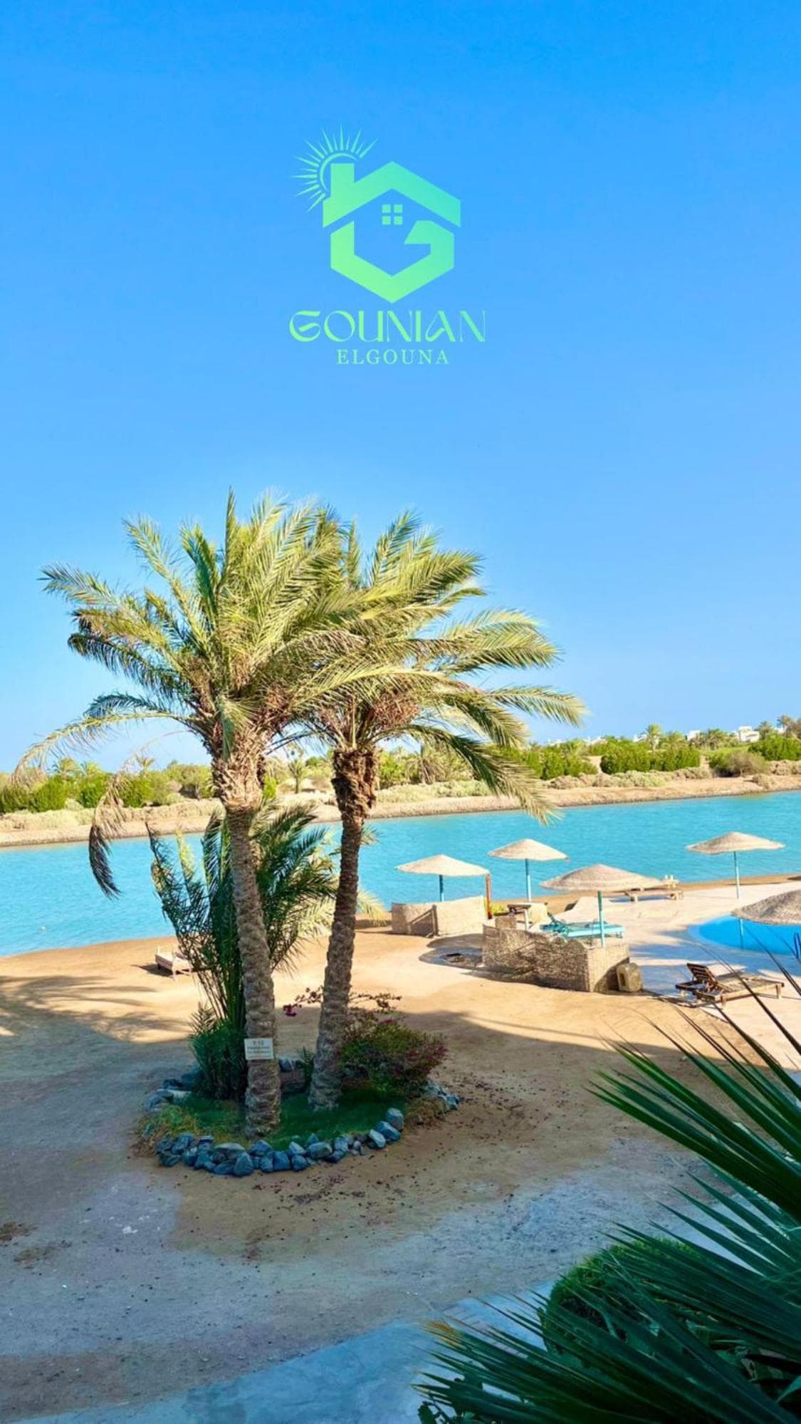El Gouna west golf Y12 photo 7