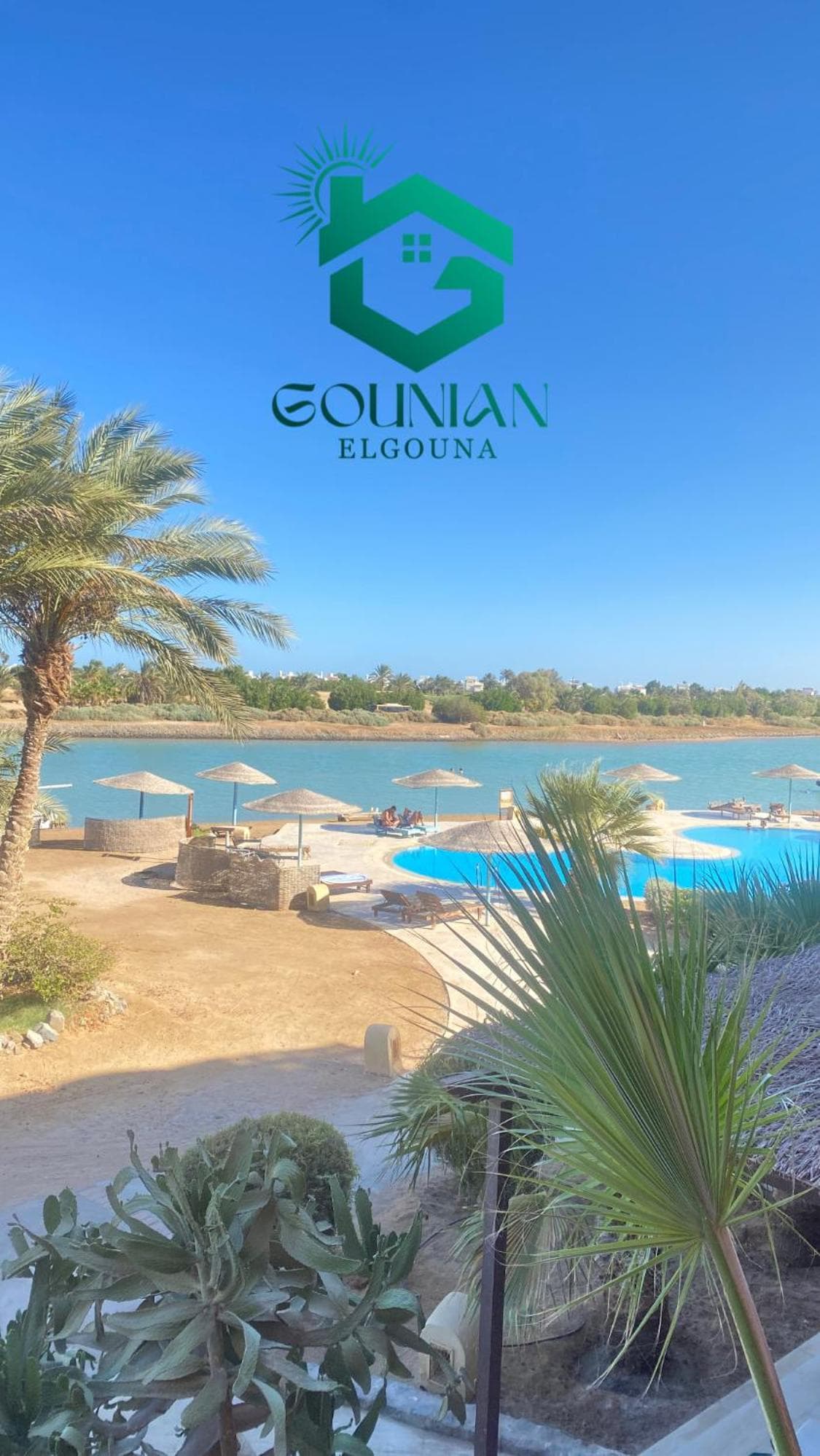 El Gouna west golf Y12