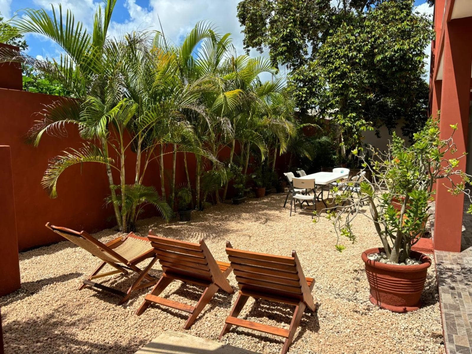 Casa del cenote photo 7