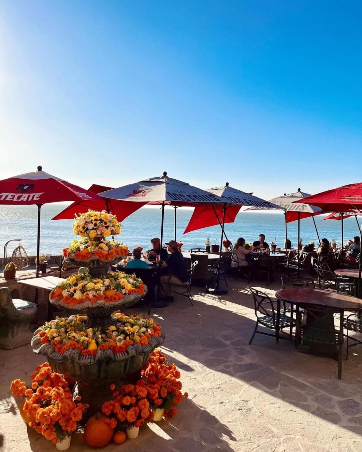 Luxury, Ocean View, Pool, Jacuzzi, Valle de Guadalupe, Los Portales De Garcia, Splash, Encanto Restaurants, Surf Breaks in Primo Tapia, Rosarito photo 7