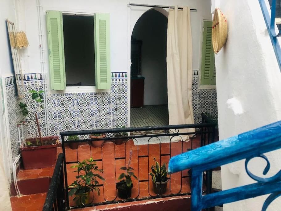 La maison des oiseaux photo 7