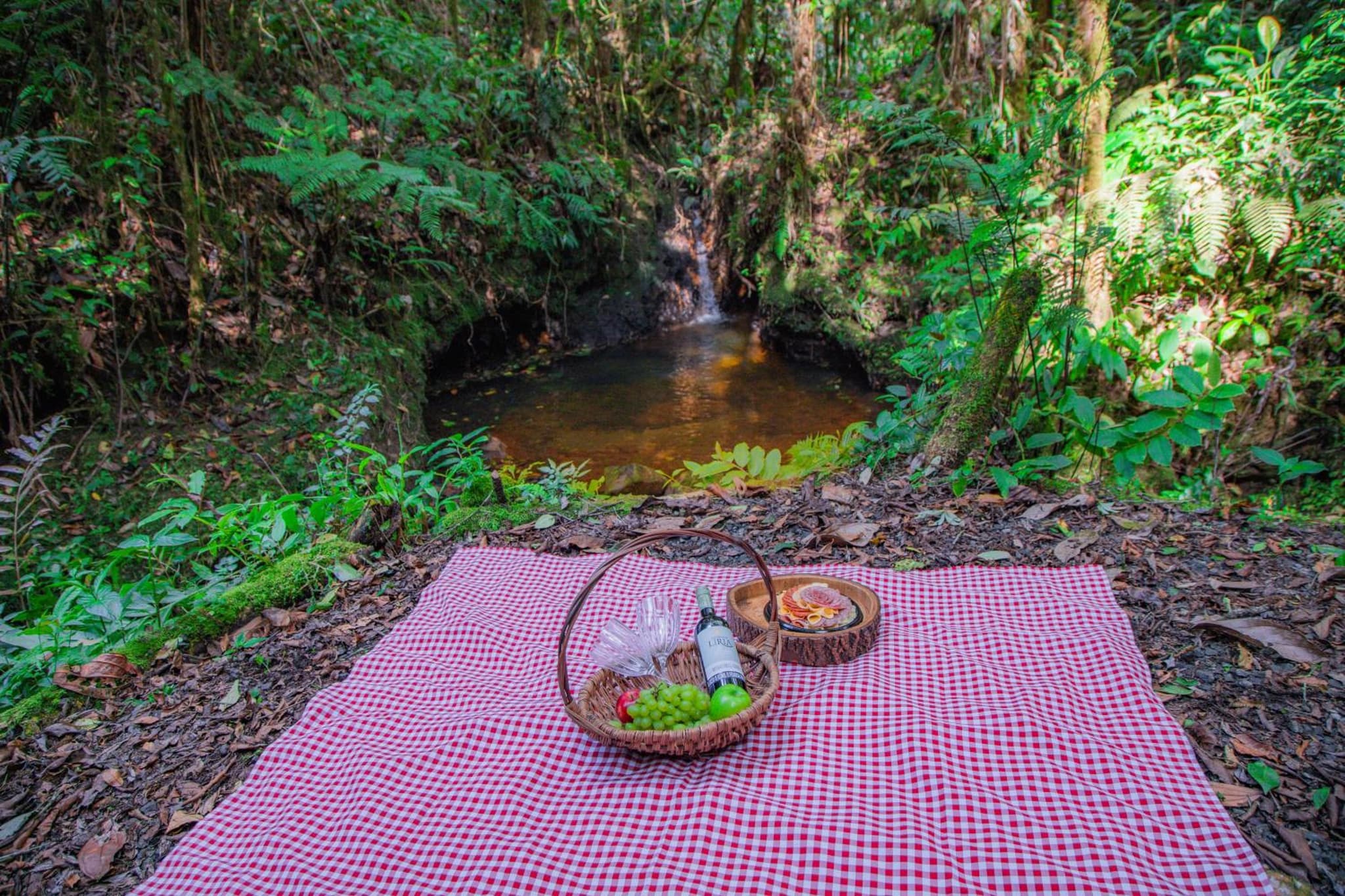 Boskoso Forest Retreat Jacuzzi & Waterfall photo 6