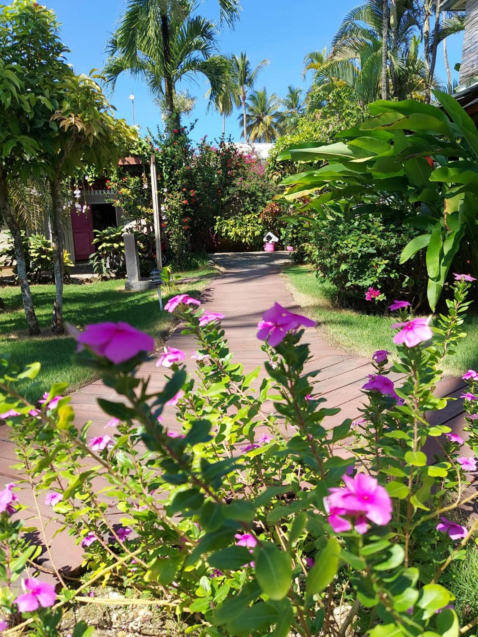 Hotel Casa Robinson