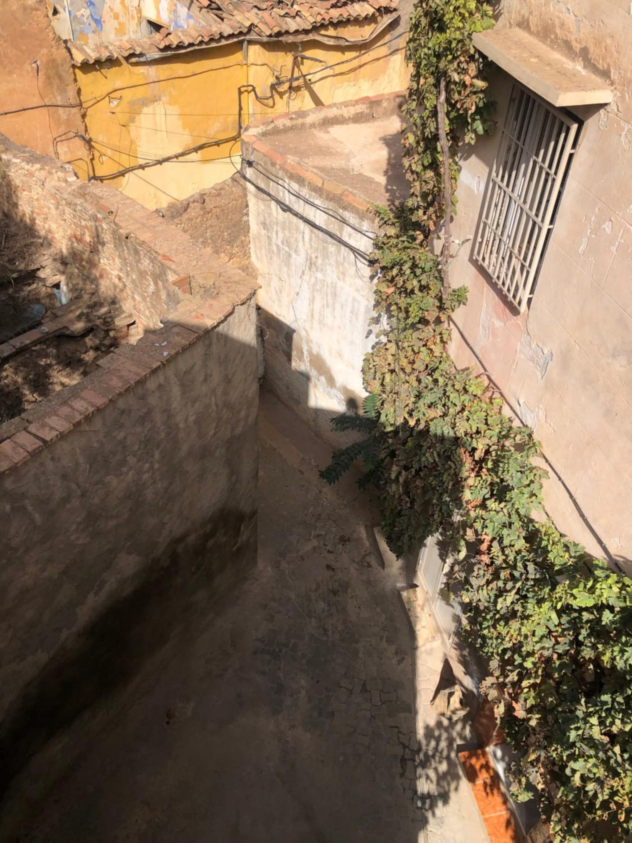 La maison des oiseaux photo 3