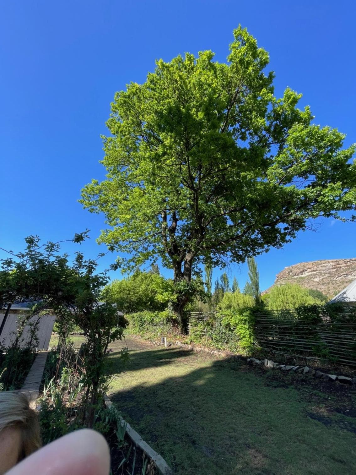 Periwinkle, Grove ,Acorn & Sage Cottages photo 5