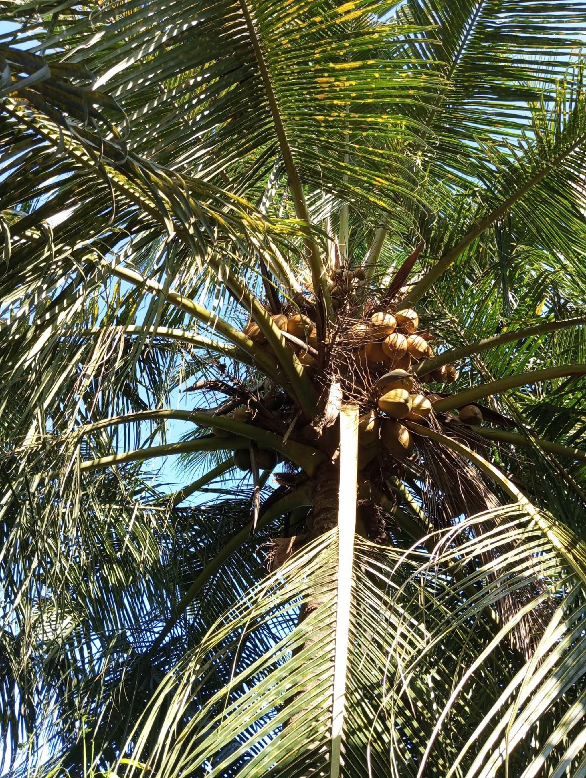 Dishari Tangalle photo 2