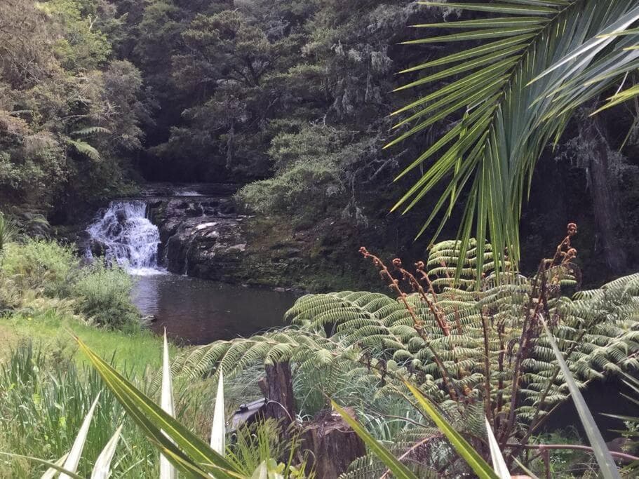 Matakana Waterfall Hideaway photo 5