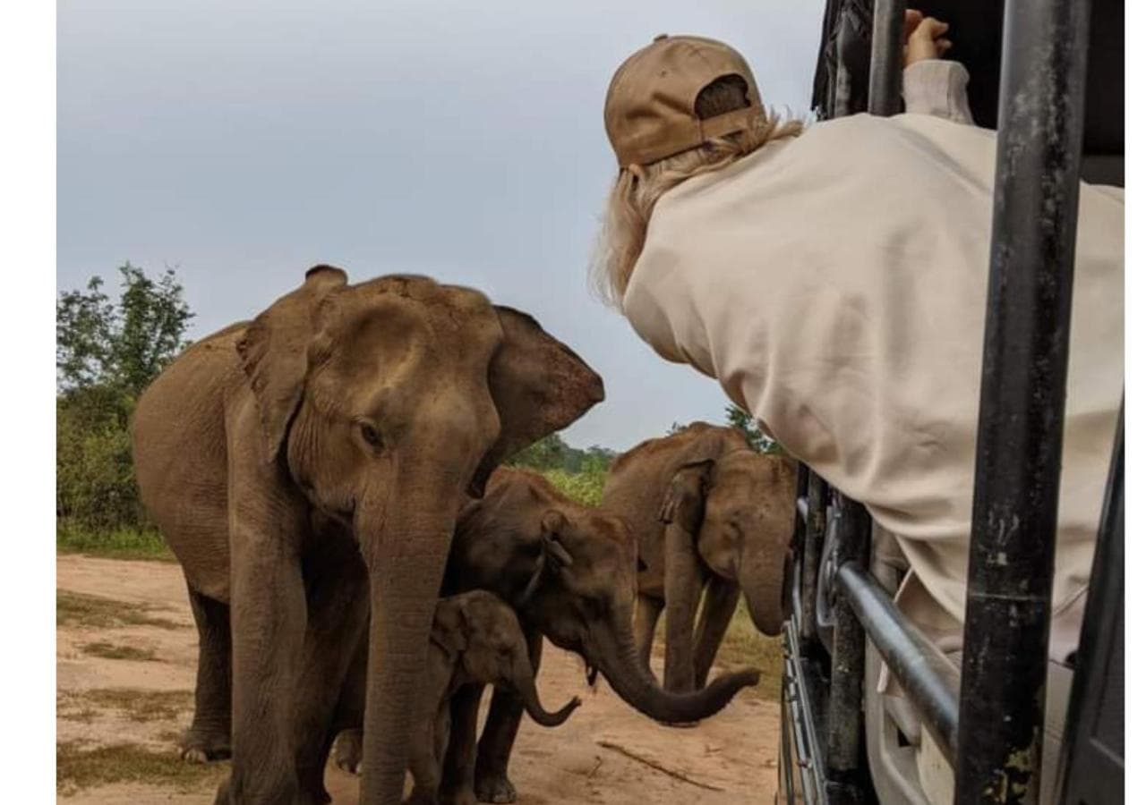 Ivory Safari House photo 2