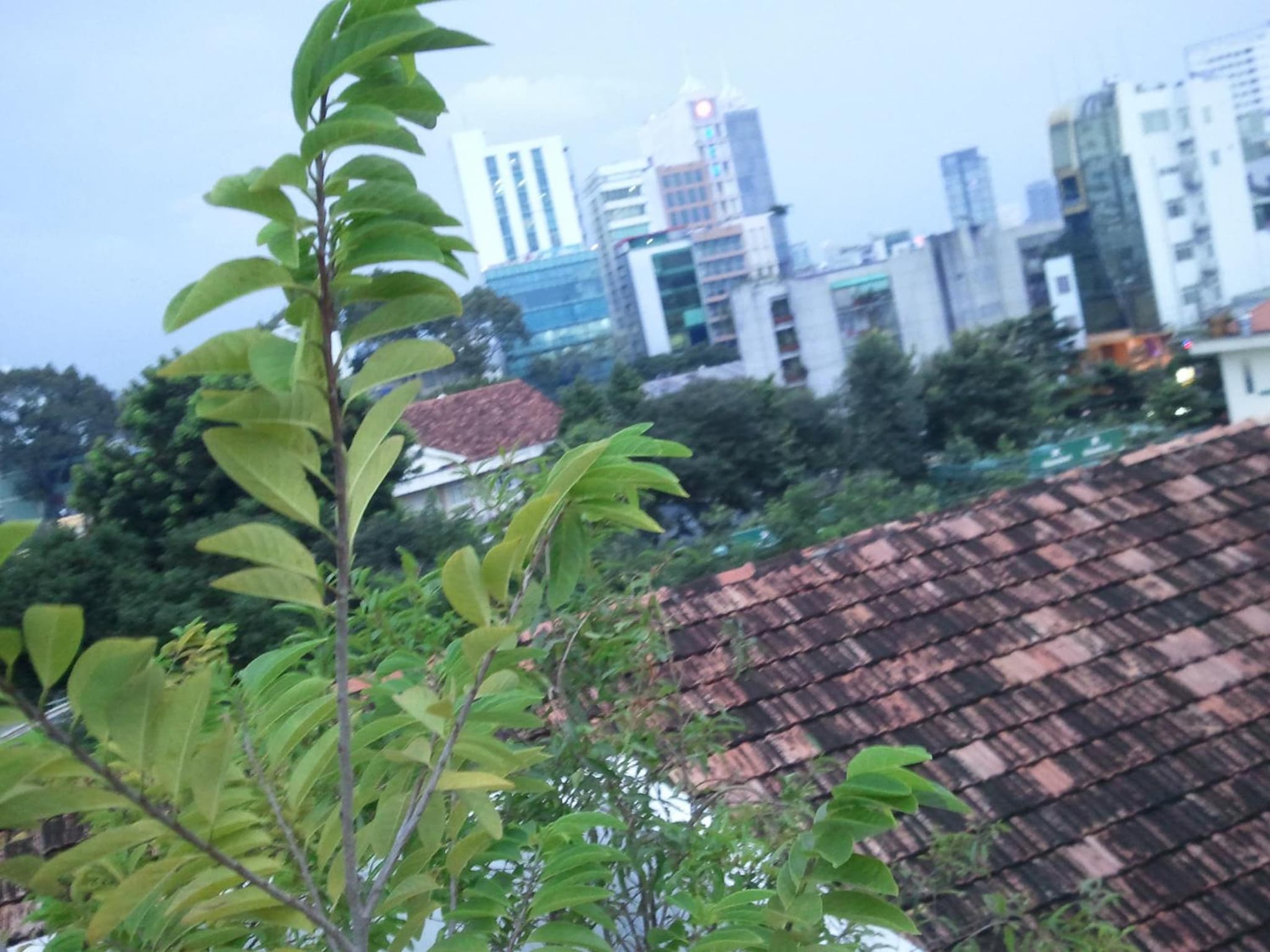 Huong's Homestay photo 2