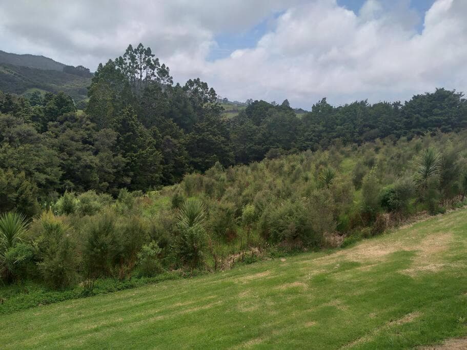 Twin Totara Cottage photo 7