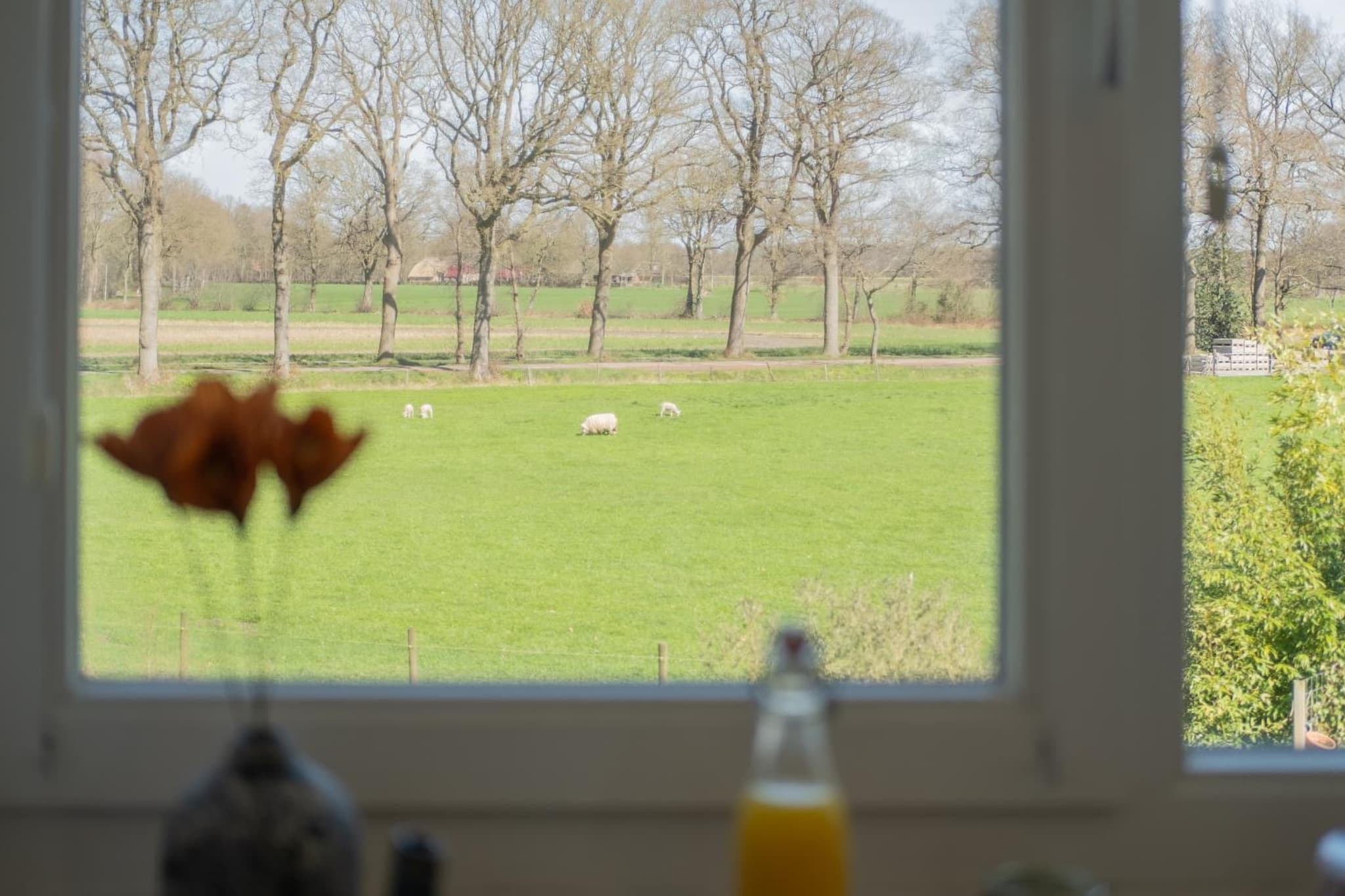 B&B De Achterdiek photo 5