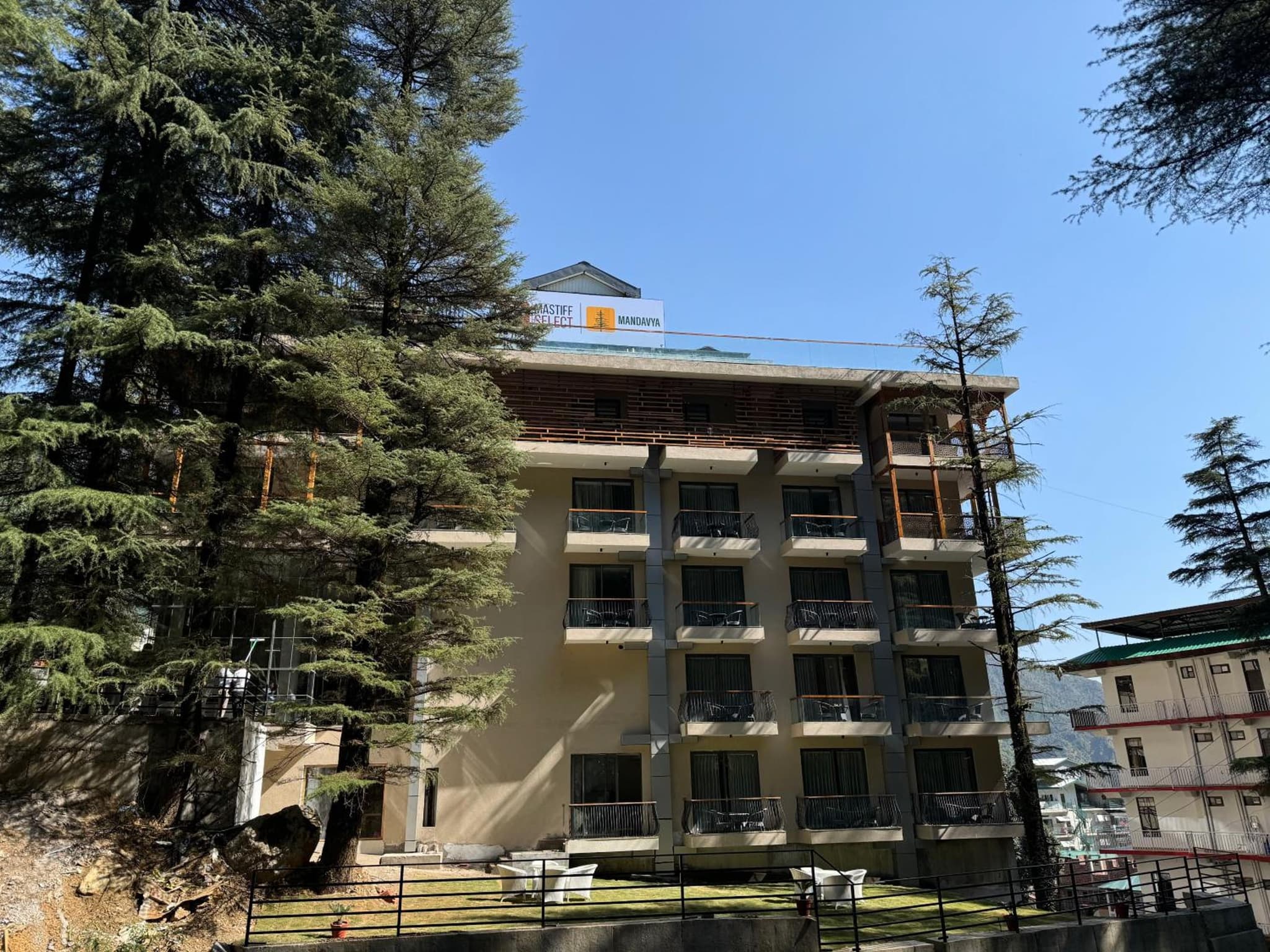 Mastiff Select Mandavya Dharamkot, McLeodganj photo 6