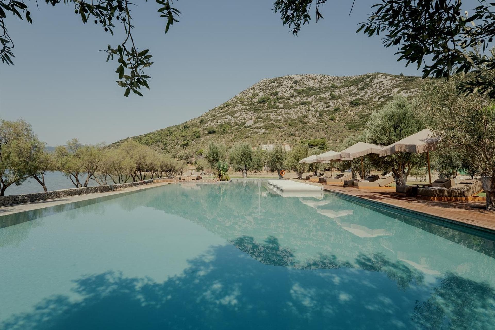 Zaira Hotel photo 4