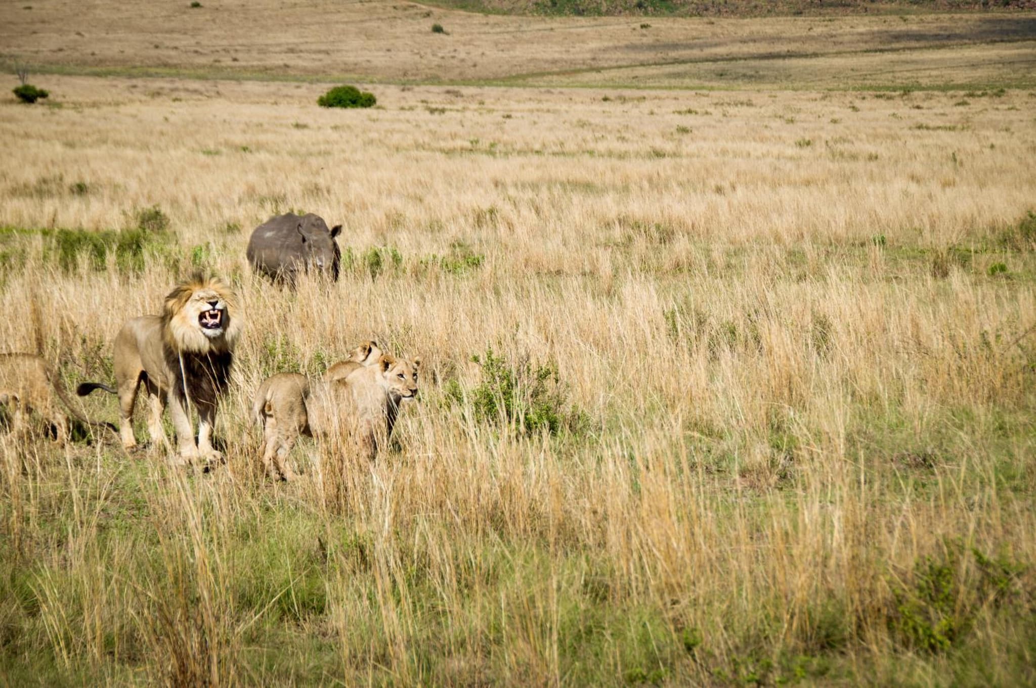 The Riverine Lodge photo 3