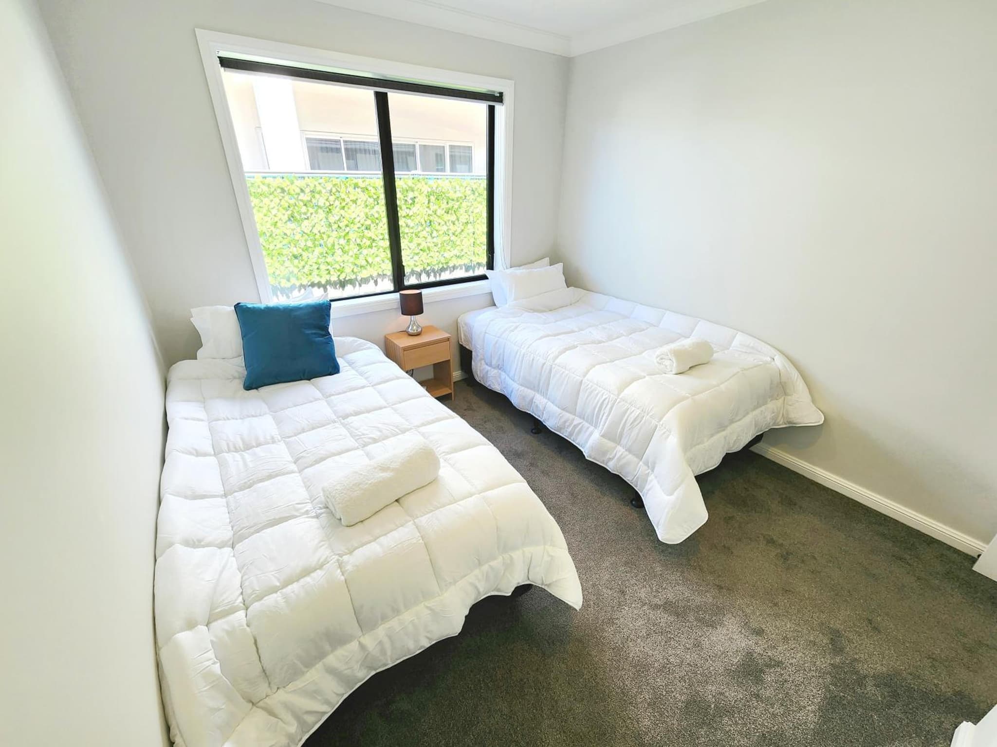 The Cozy Oasis photo 9