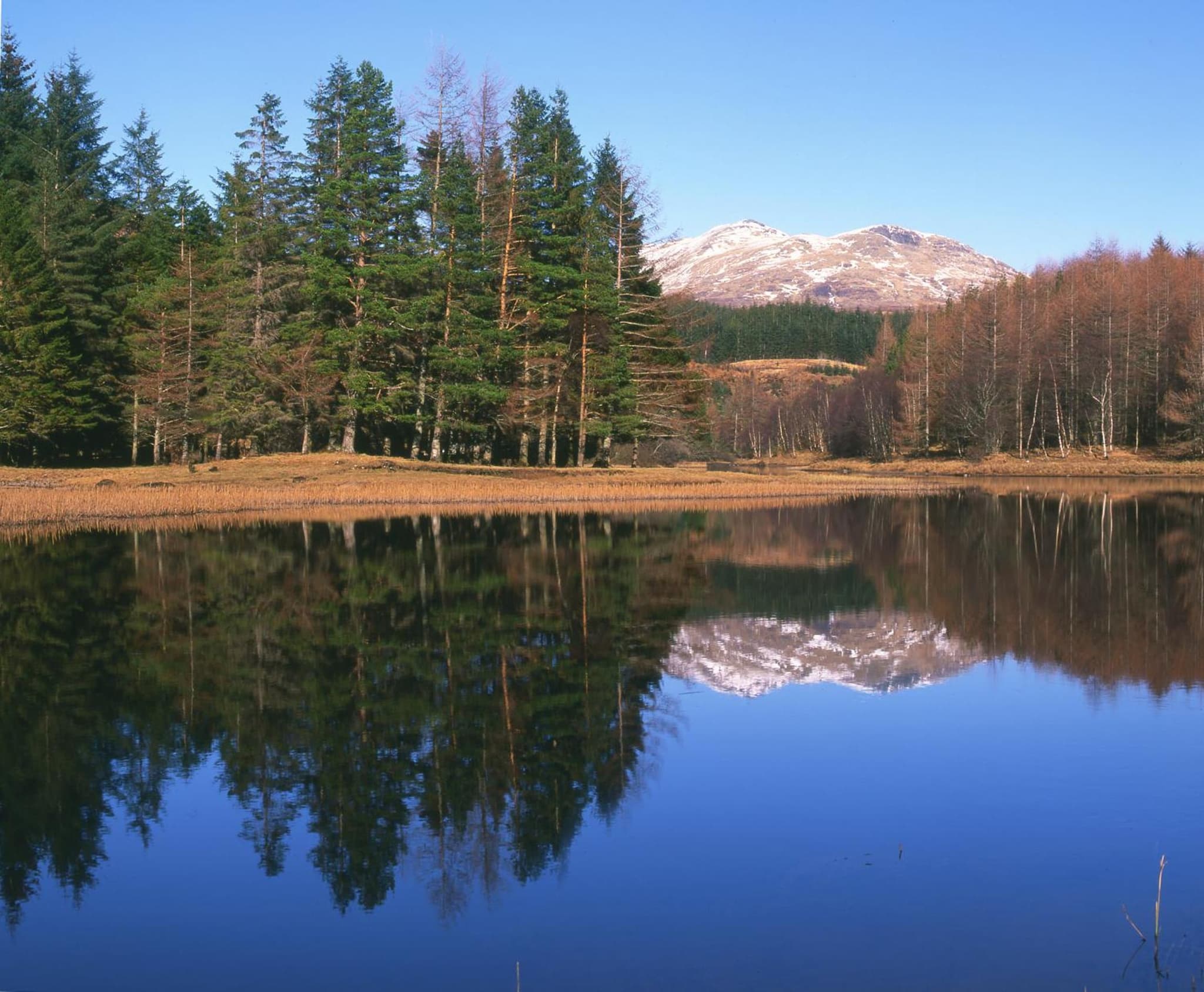 BEST WESTERN The Crianlarich Hotel photo 6