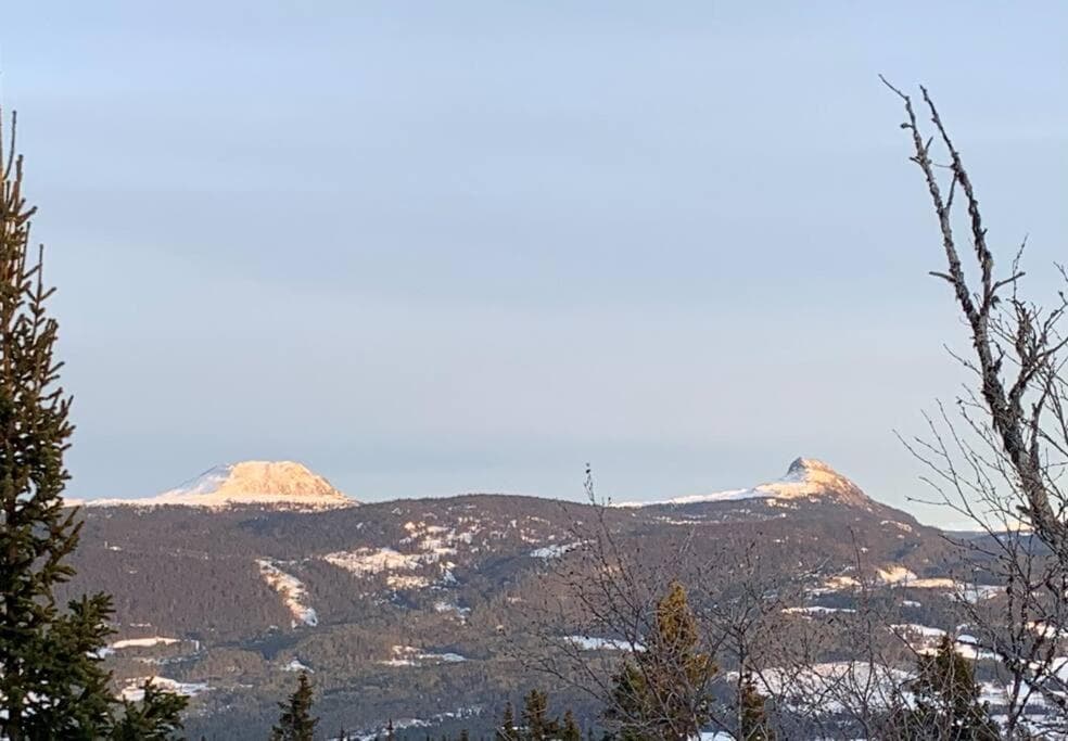 Leilighet i enebolig photo 6